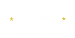 Guns Data 